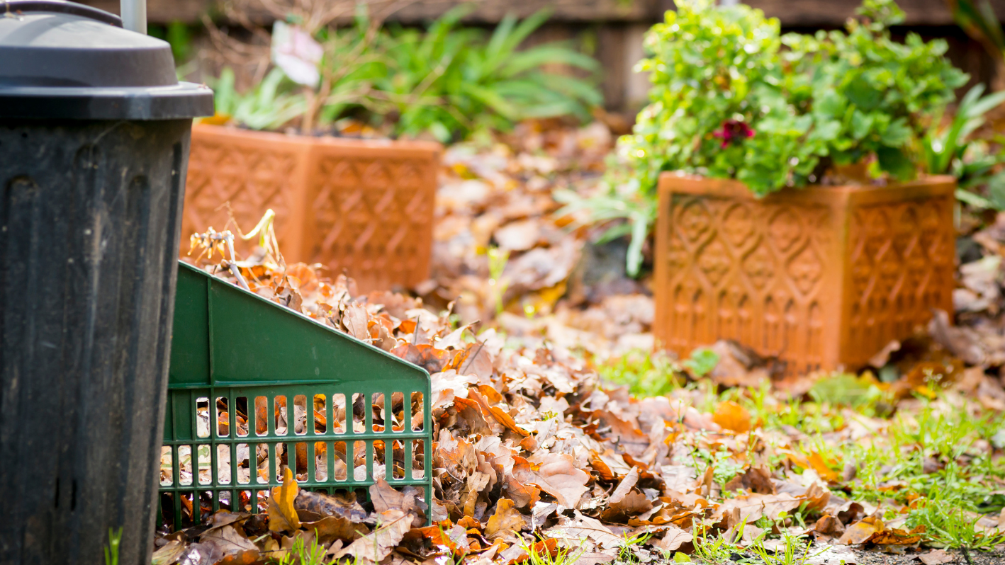 A pile of leaves sitting next to a trash can