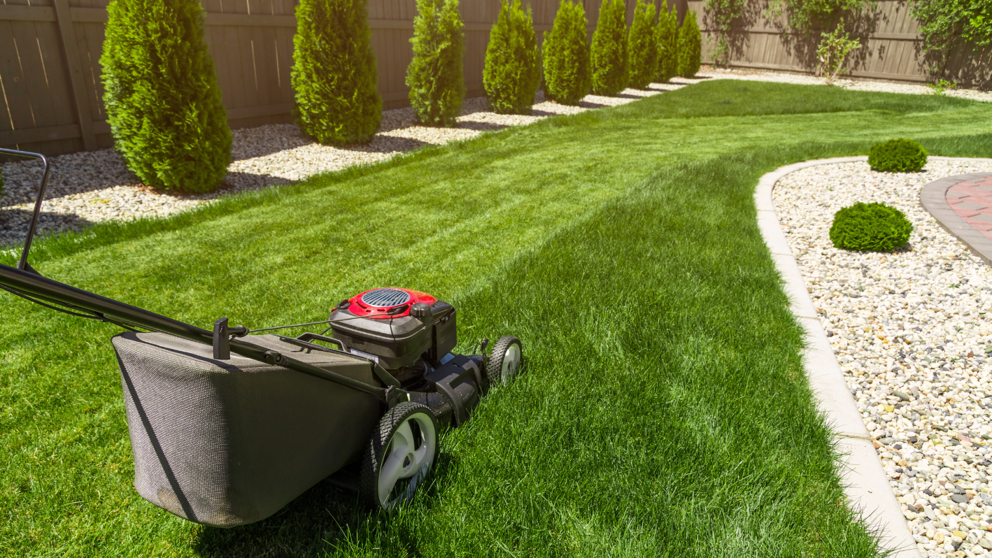 A lawn mower sitting on top of a lush green field