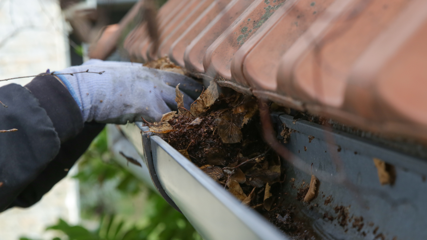 A person with gloves and gloves is removing leaves from a gutter