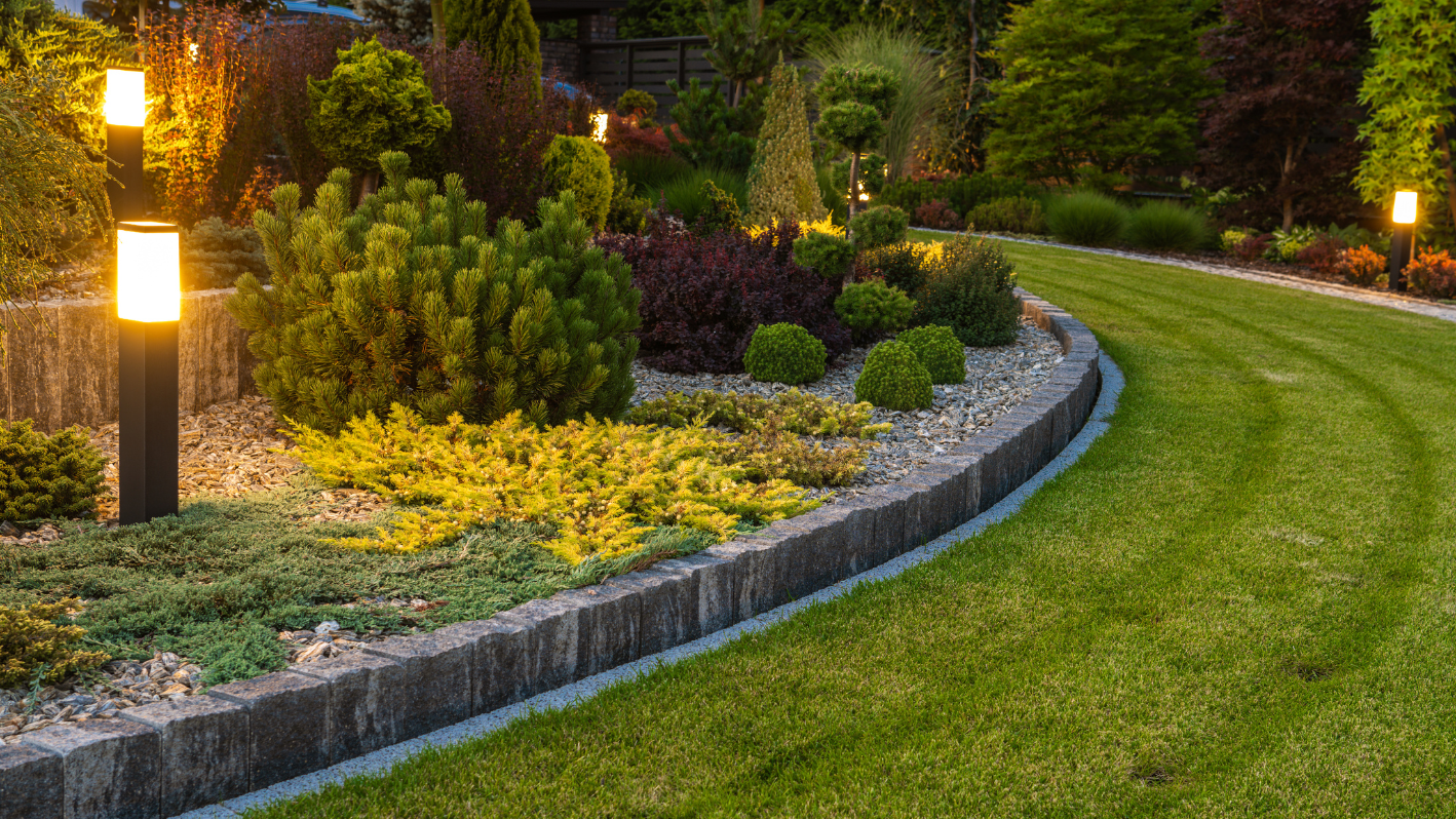 A garden with a lot of plants and lights