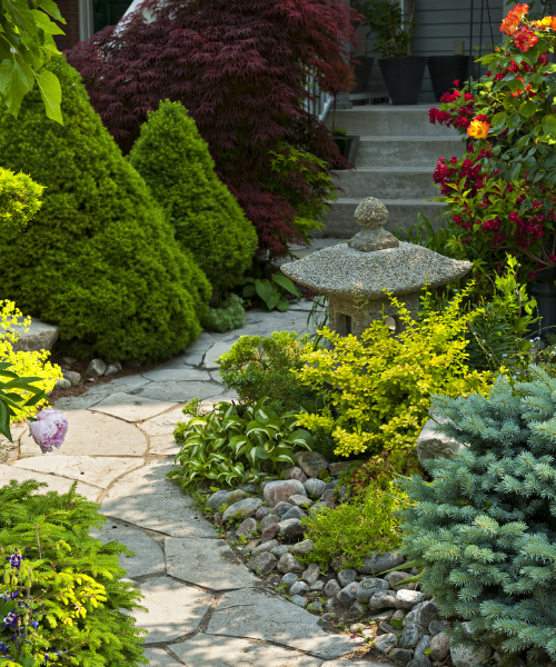A garden with a stone path surrounded by plants